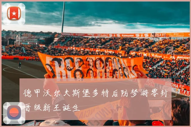 德甲沃尔夫斯堡多特后防梦游零封晋级新王诞生