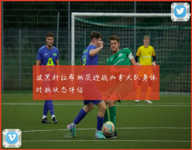 波黑科拉希纳茨迎战加拿大队身体对抗状态评估