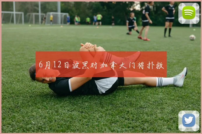 6月12日波黑对加拿大门将扑救