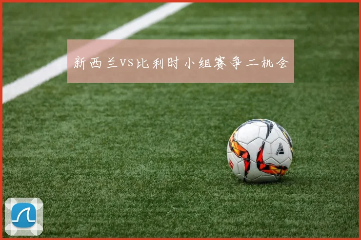 新西兰vs比利时小组赛争二机会