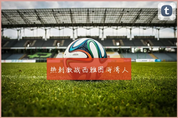 热刺激战西雅图海湾人