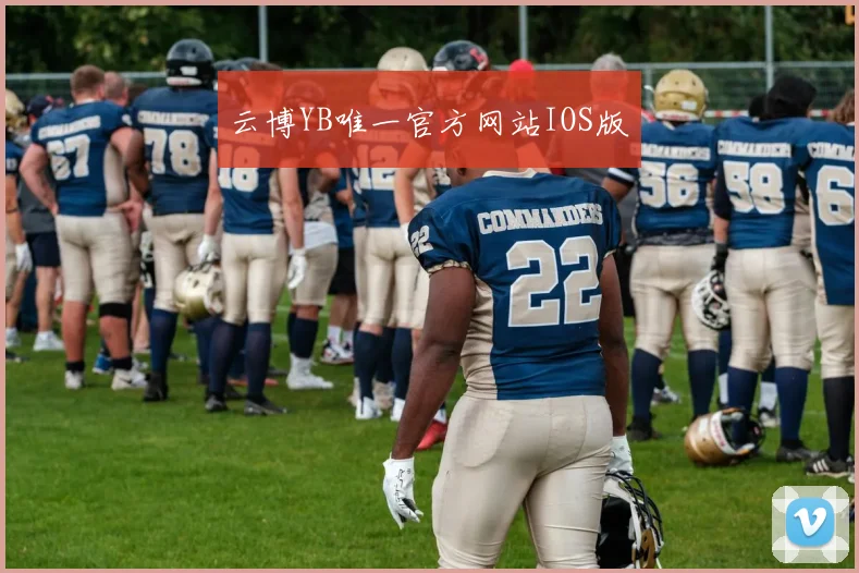 云博YB唯一官方网站IOS版