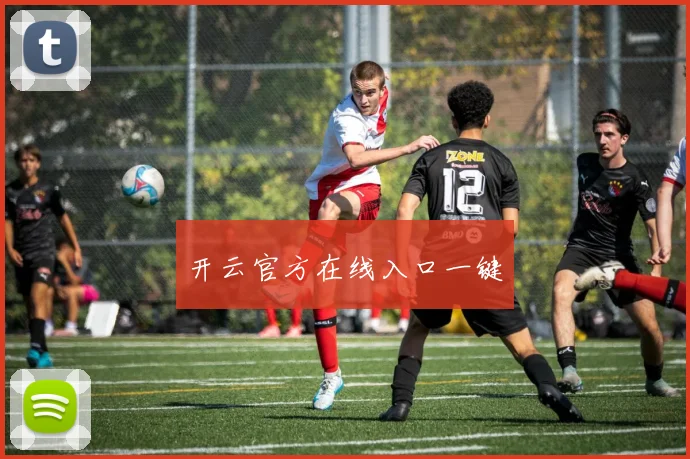 开云官方在线入口一键