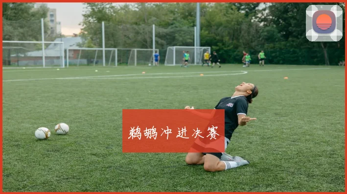 鹈鹕冲进决赛