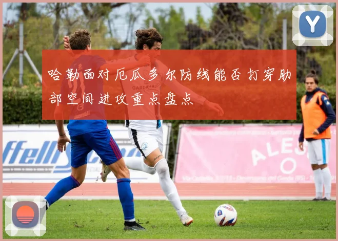 哈勒面对厄瓜多尔防线能否打穿肋部空间进攻重点盘点