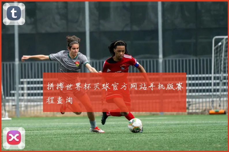 拼搏世界杯买球官方网站手机版赛程查询