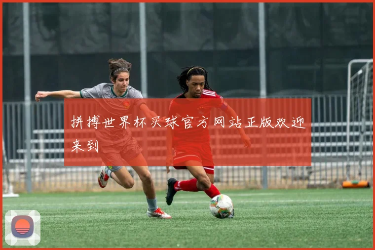 拼搏世界杯买球官方网站正版欢迎来到