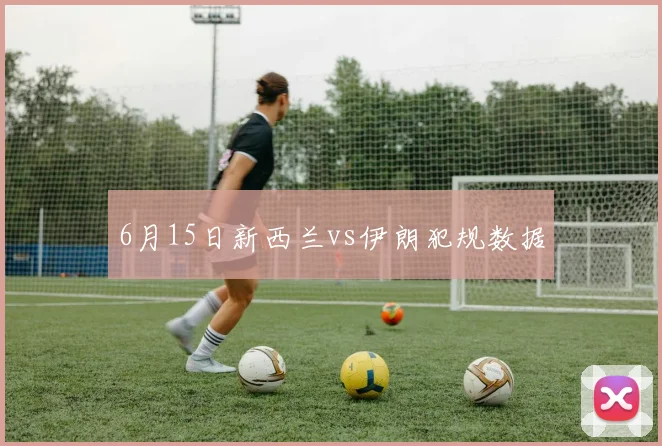 6月15日新西兰vs伊朗犯规数据