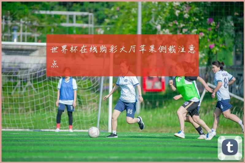 世界杯在线购彩大厅苹果侧载注意点