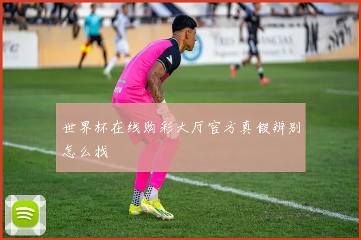 世界杯在线购彩大厅官方真假辨别怎么找